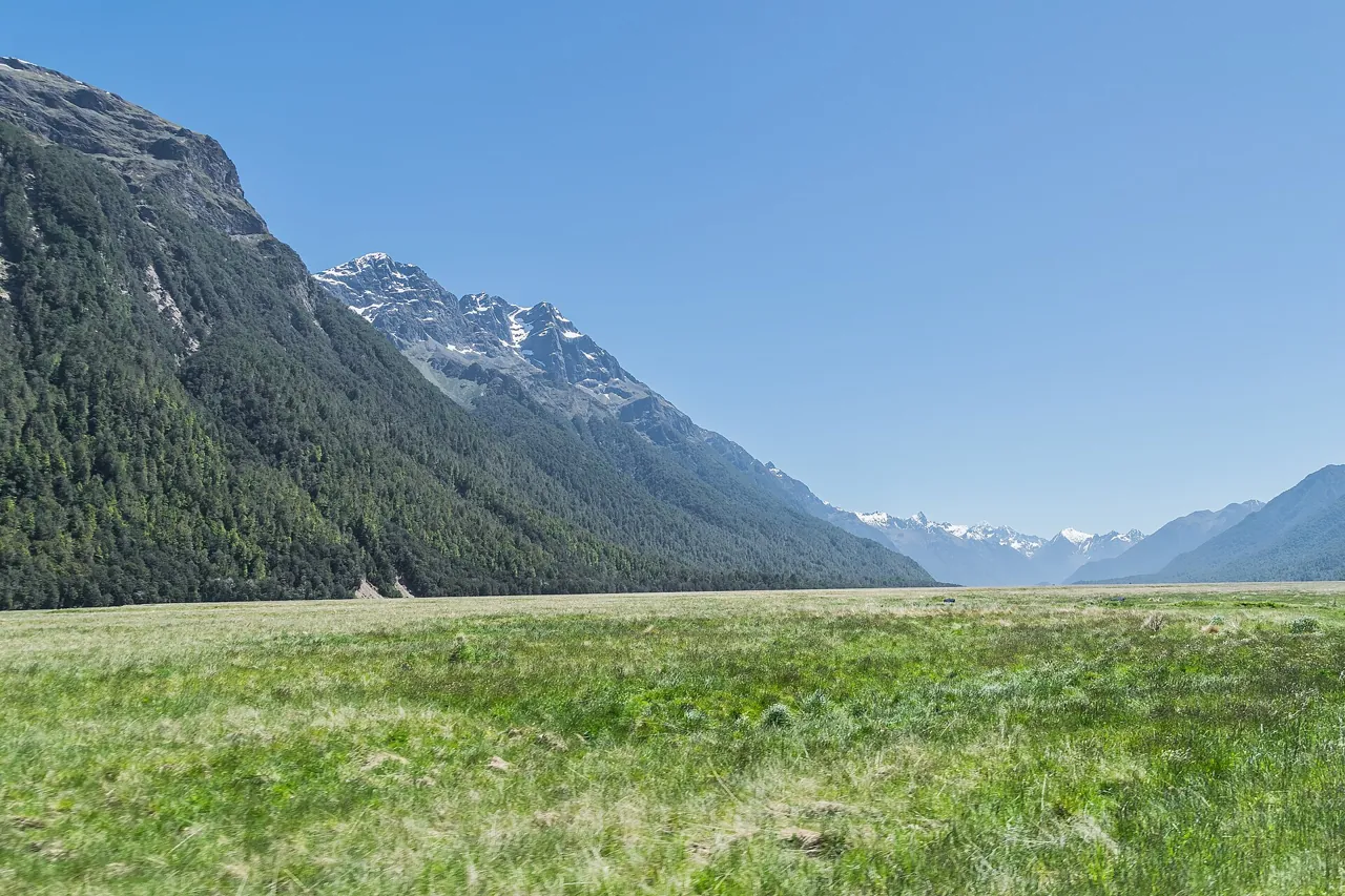 Das weite, grasbewachsene Eglinton Valley mit Buchenwald und verschneiten Gipfeln unter blauem Himmel