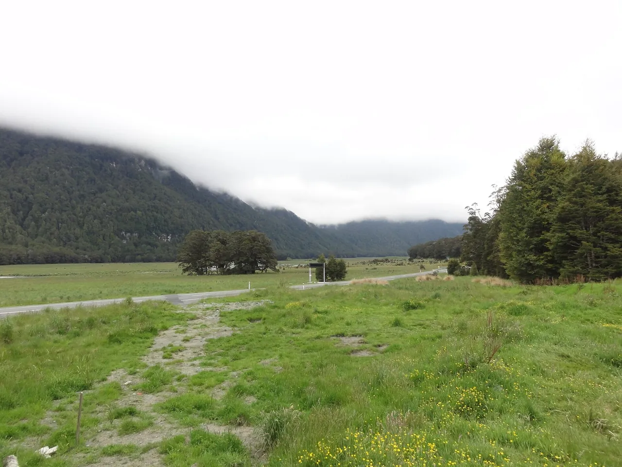 Grassy flats at Knobs Flat on the Milford Road with forest and low cloud on the hills